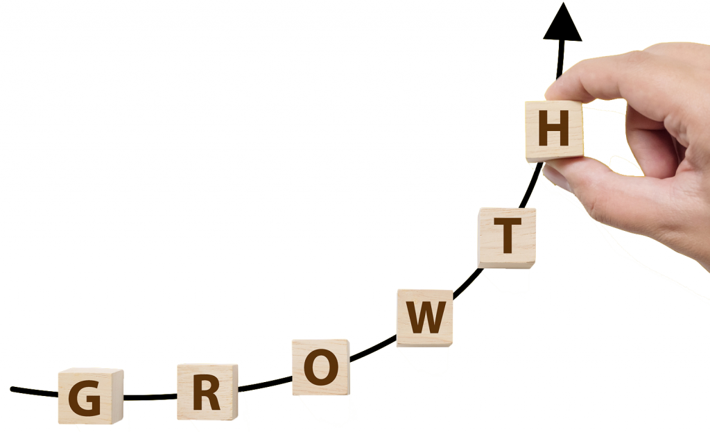 business growth